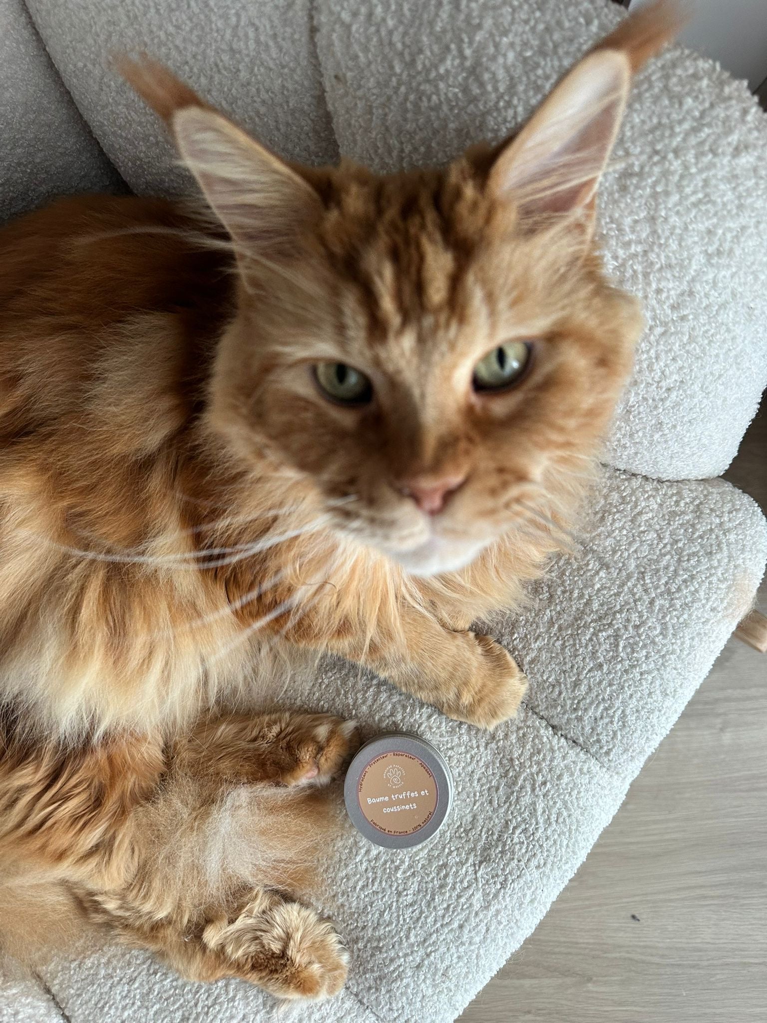 Baume truffes et coussinets