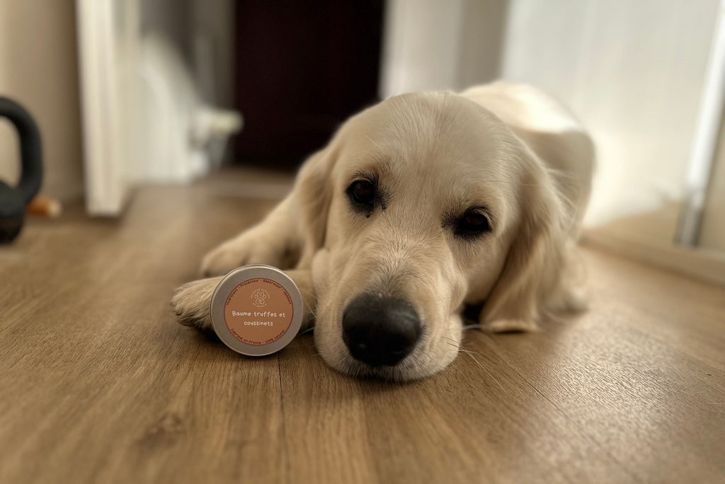 Baume truffes et coussinets
